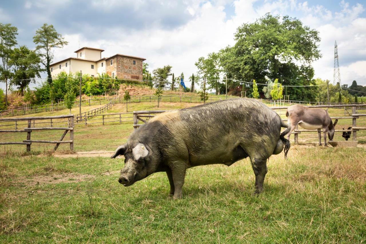 Palagina La Cascina Villa ฟิลยีเน วัลดาร์โน ภายนอก รูปภาพ