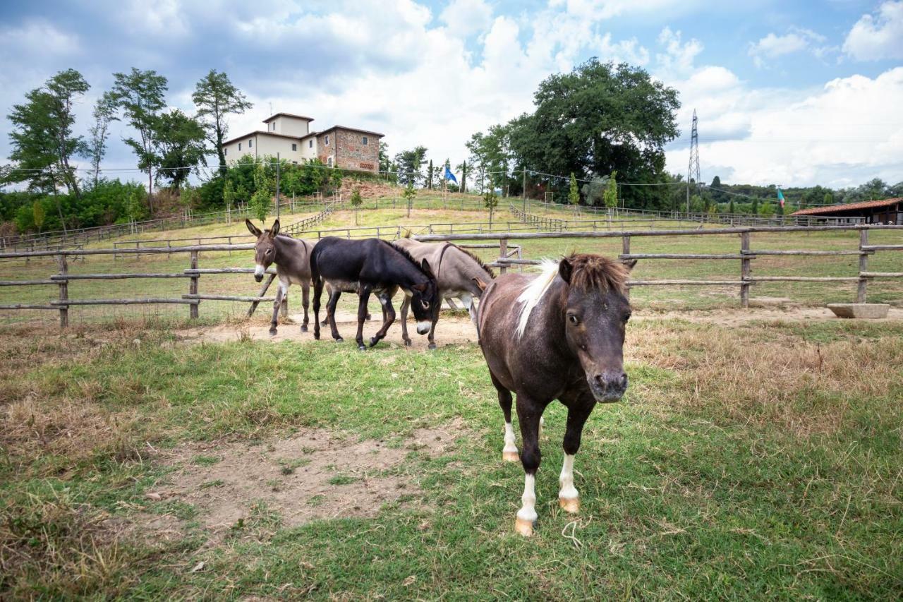 Palagina La Cascina Villa ฟิลยีเน วัลดาร์โน ภายนอก รูปภาพ